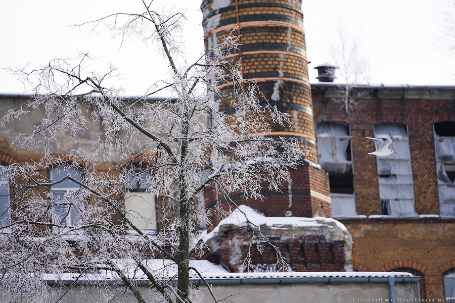 «Система» рухнула: на Нижнем озере ликвидируют строения аварийного завода (дополнено) (фото)