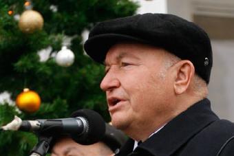 Лужков в Калининградской области намерен заняться навозом