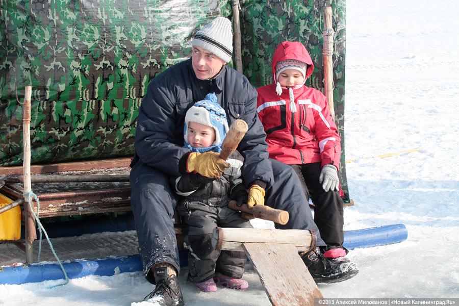 «На безрыбье»: «День корюшки» в Ниде