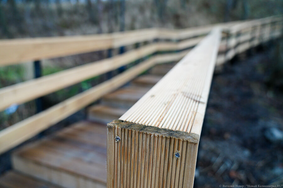 С экс-подрядчиком детсада на Новгородской расторгли и контракт на реконструкцию сквера