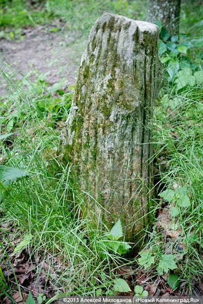 Легенды и лягушки: кирха в поселке Ново-Московское обрастает мхом и преданиями