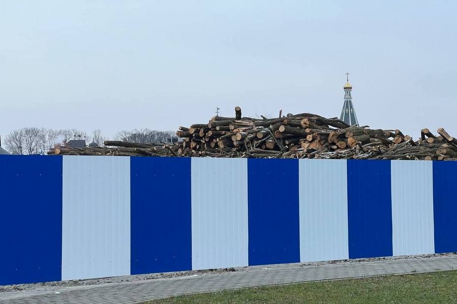 Штабеля и пустырь: на ул. Невского закончилась вырубка для будущего кампуса БФУ (фото)