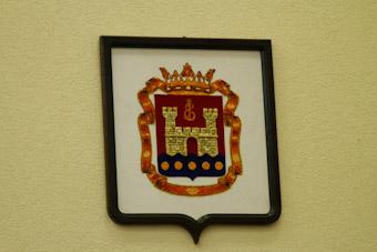 В деле принятия областного гимна пока ограничатся музыкой