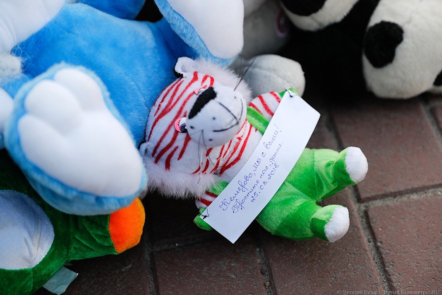 Опустить голову, зажечь свечу: в Калининграде почтили память погибших в Кемерово