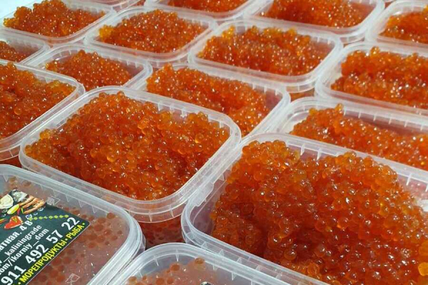 Где в Калининграде купить настоящую заводскую икру летнего улова 2022