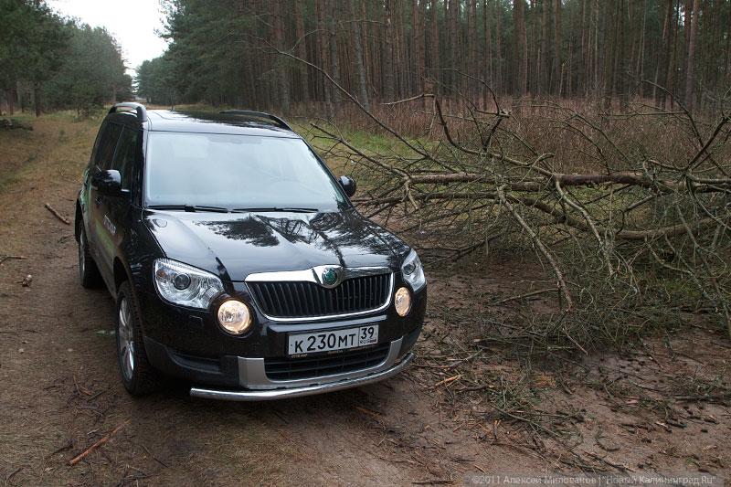 «Тот самый Yeti»: тест-драйв ŠKODA Yeti