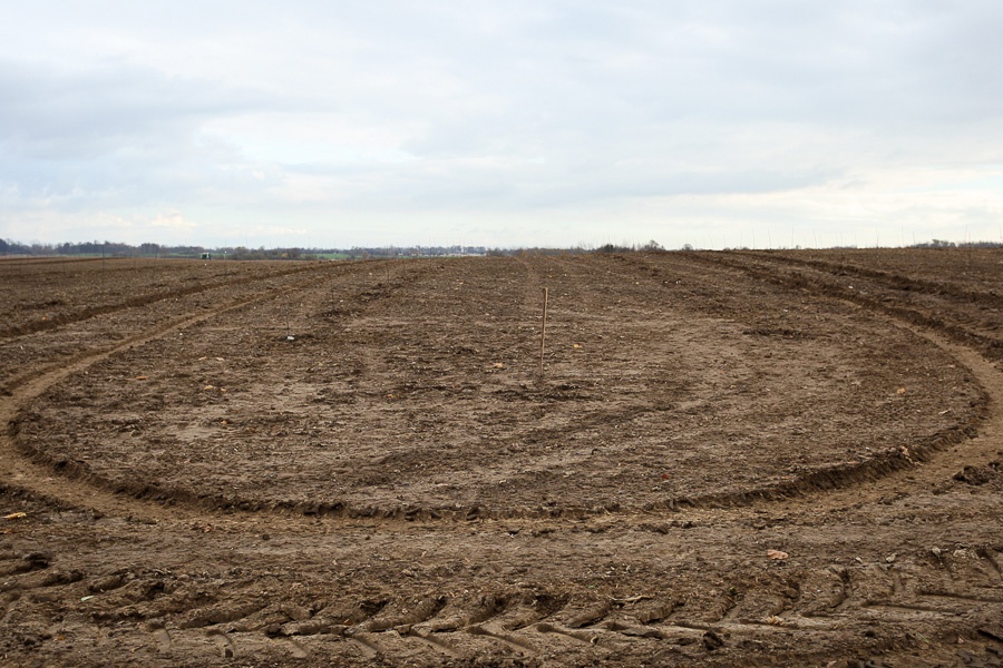 Фото — Виталий Невар, «Новый Калининград»