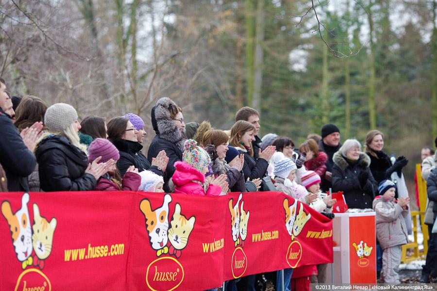 «Праздник для собак»: фоторепортаж из Ботанического сада