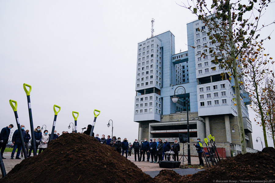 «Платанические» отношения: чиновники и бизнесмены посадили аллею у Дома Советов (фото)