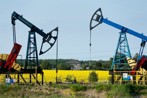 Облвласти готовятся сменить категорию земли компании Гольдмана для добычи нефти