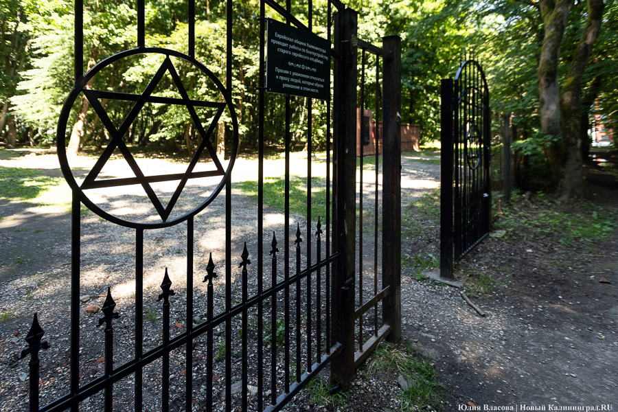 «Золотое место»: на территории еврейского кладбища планируют обустроить мемориальный парк   ﻿