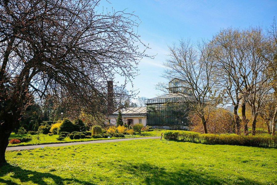 Экзотика в руинах: аварийные оранжереи Ботанического сада и их будущее