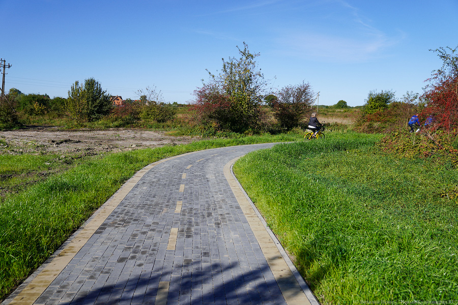 Фото: Виталий Невар / Новый Калининград