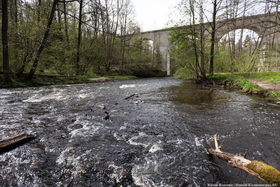 Калина: имя директора нацпарка «Виштынецкий» будет известно через пару недель