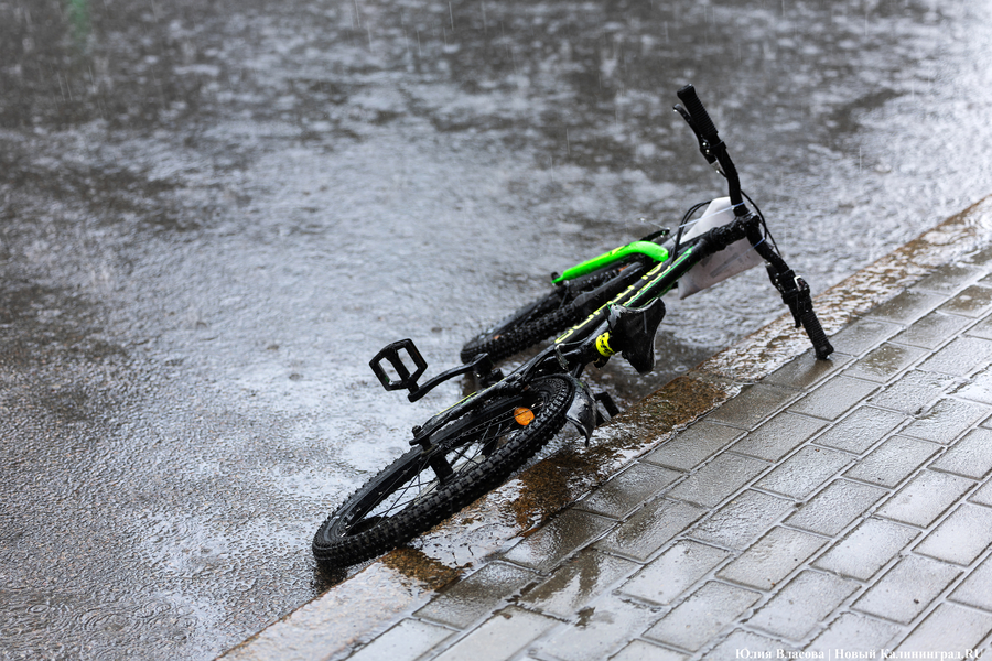 «Море положительных эмоций»: в Калининграде прошёл велопарад «День колеса» (фото)