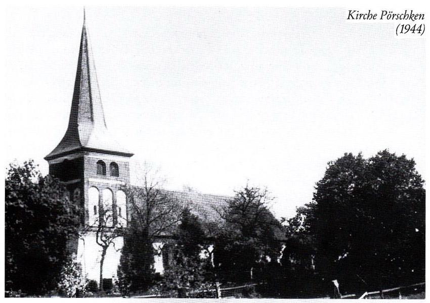 Легенды и лягушки: кирха в поселке Ново-Московское обрастает мхом и преданиями