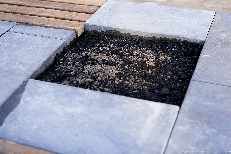 Как выглядит обновленная пешеходная зона на улице Рокоссовского без снега (фото)