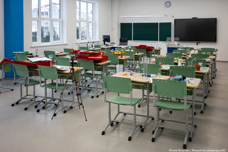 Опрос: большинство российских школьников хотят стать врачами или айтишниками