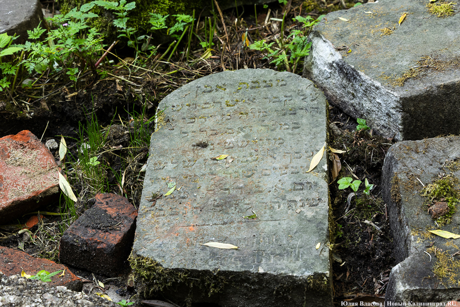Власти рекомендовали признать памятником еврейское кладбище на Литовском валу
