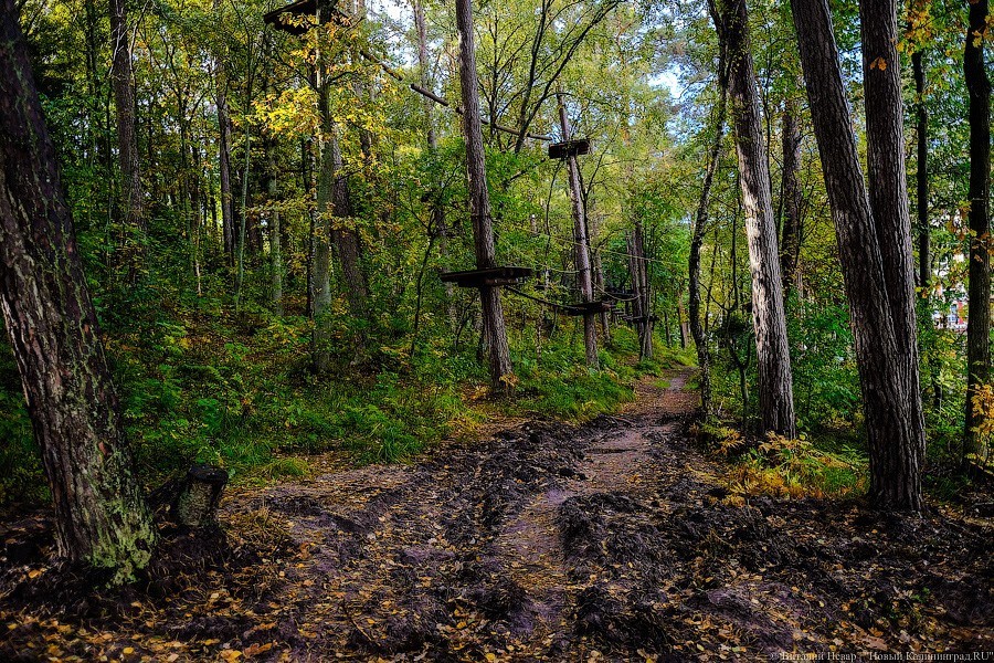Муза освоения: как за федеральные деньги благоустраивают парк в Светлогорске