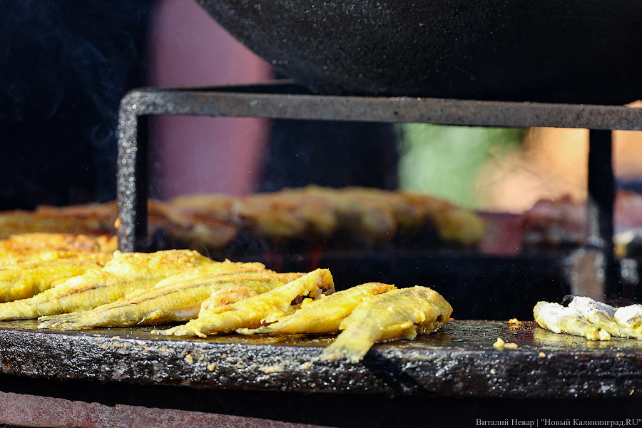 Шашлычок под медлячок: на острове Канта стартовала «Неделя еды и музыки» (фото)