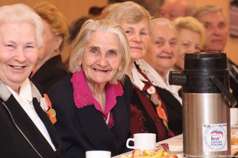 Микрокосмос для ветеранов: фоторепортаж "Нового Калининграда.Ru" 