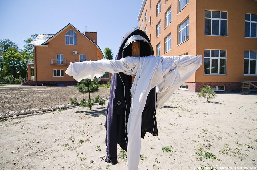 «Ты кем засыпанный, ручей?»: репортаж «Нового Калининграда.Ru»