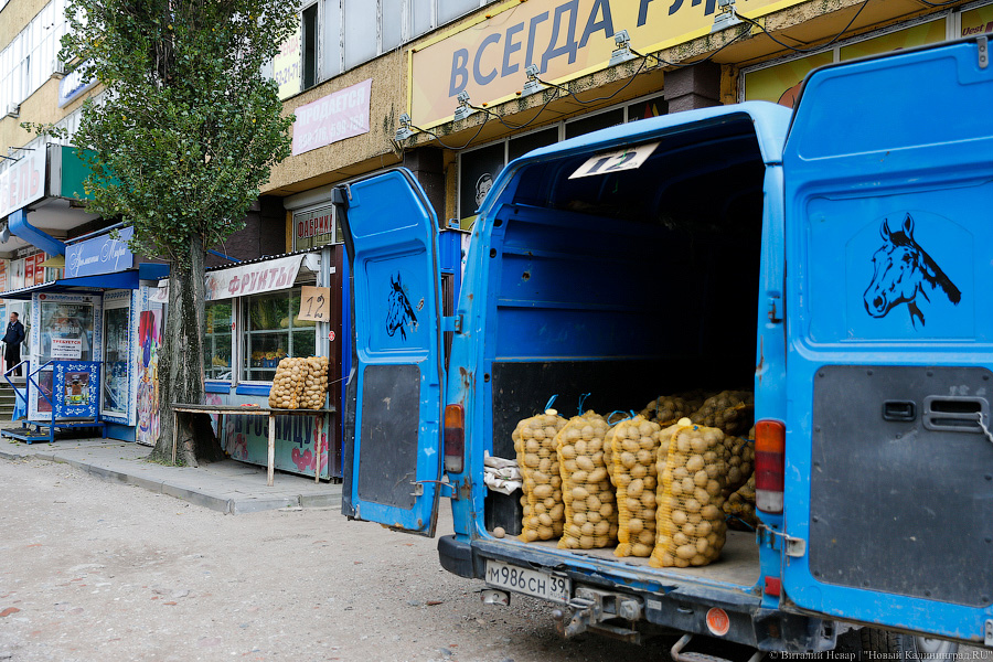 «Куда потом, воровать?»: Калининград на пороге новой палаточной войны