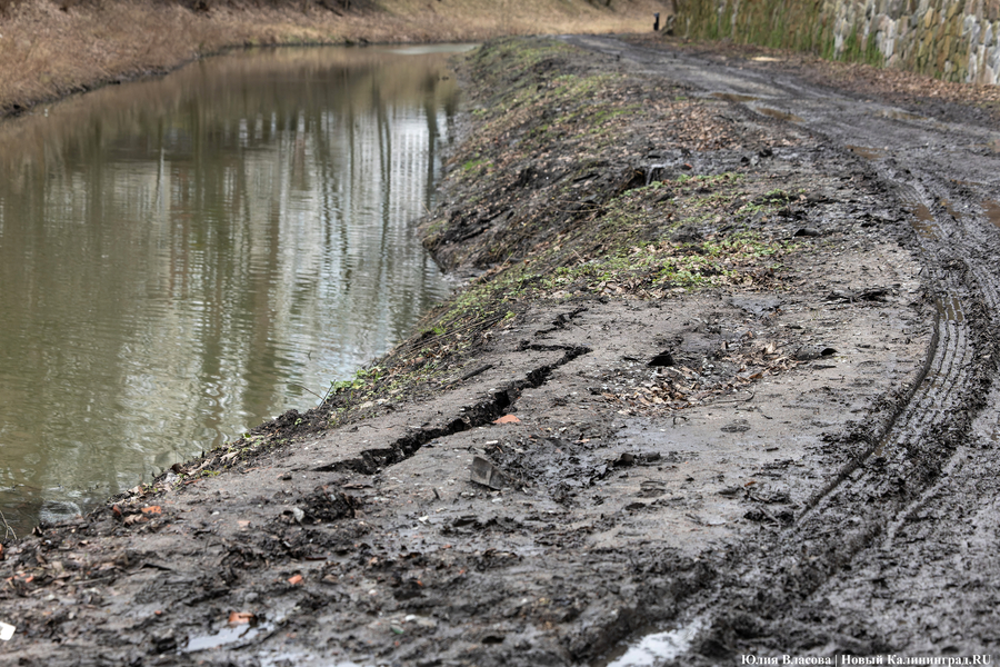 Непролазная грязь: как выглядит берег Литовского ручья в ожидании реновации (фото)