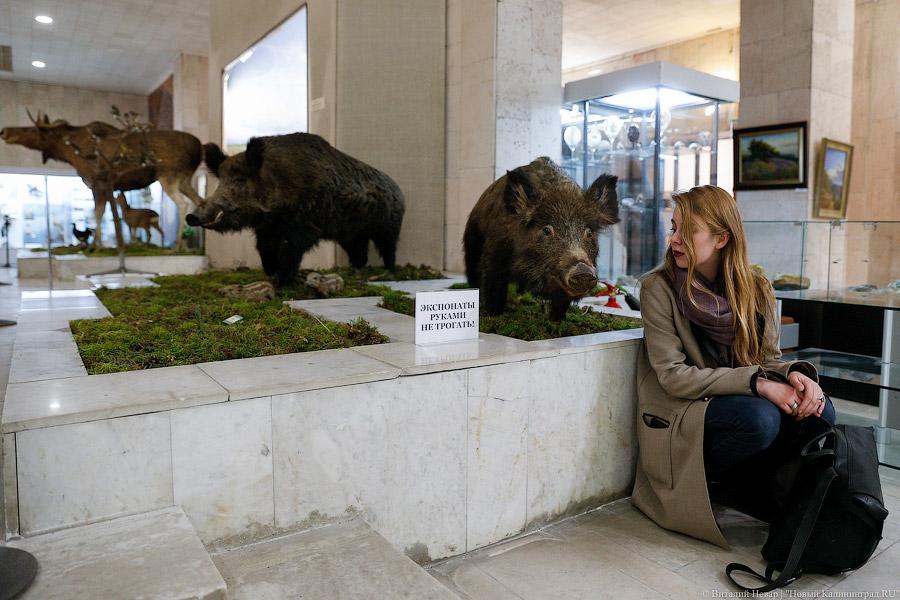 Без очередей и огненного шоу: как в Калининграде прошла «Ночь искусств»