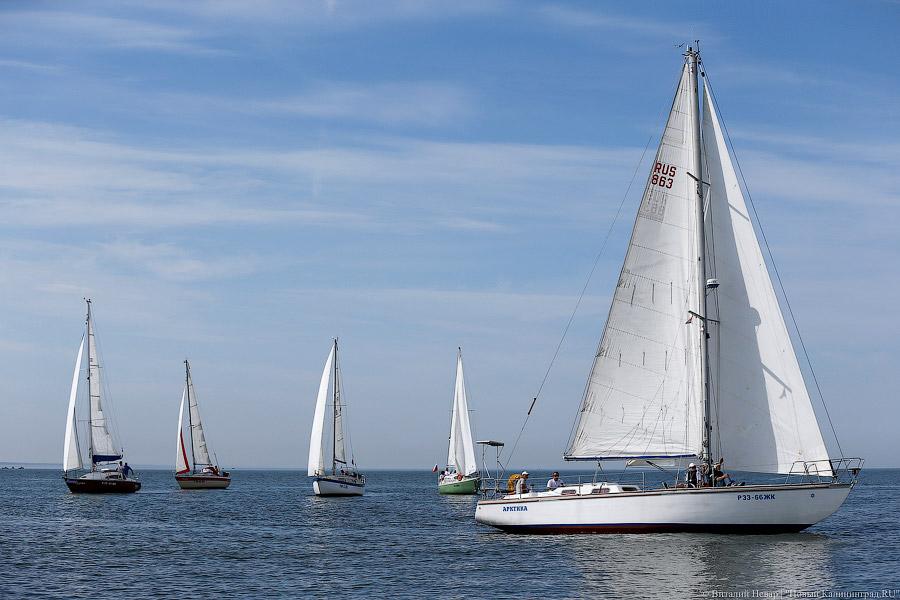 Фото — Виталий Невар, «Новый Калининград.Ru»