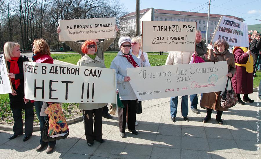 "Педозастройщики и пни во власти": фоторепортаж "Нового Калининграда.Ru"