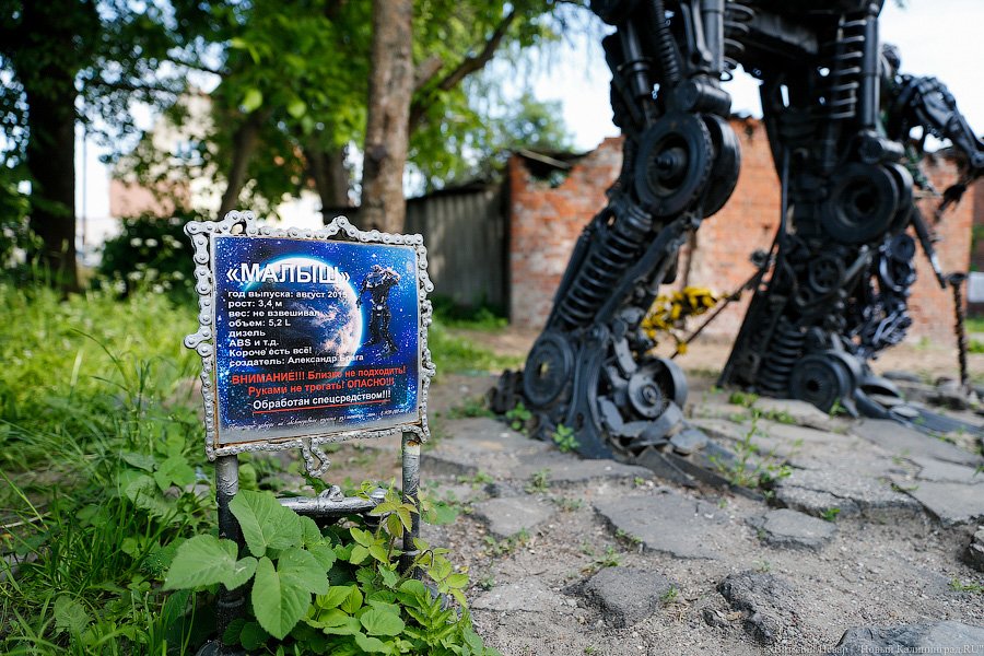 Смотришь на деталь и видишь хвост: житель Гвардейска создаёт трансформеров