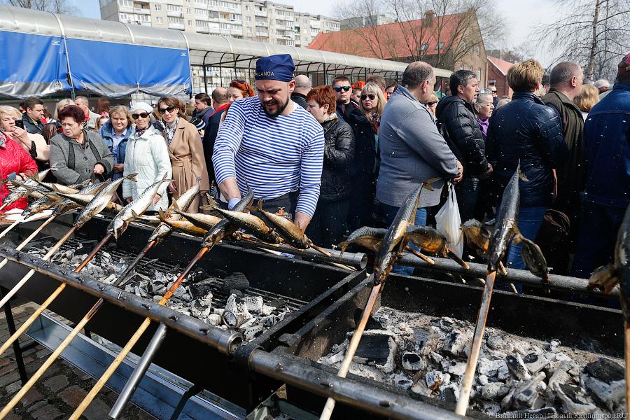 Суточного посола и под шубой: как прошел День селедки