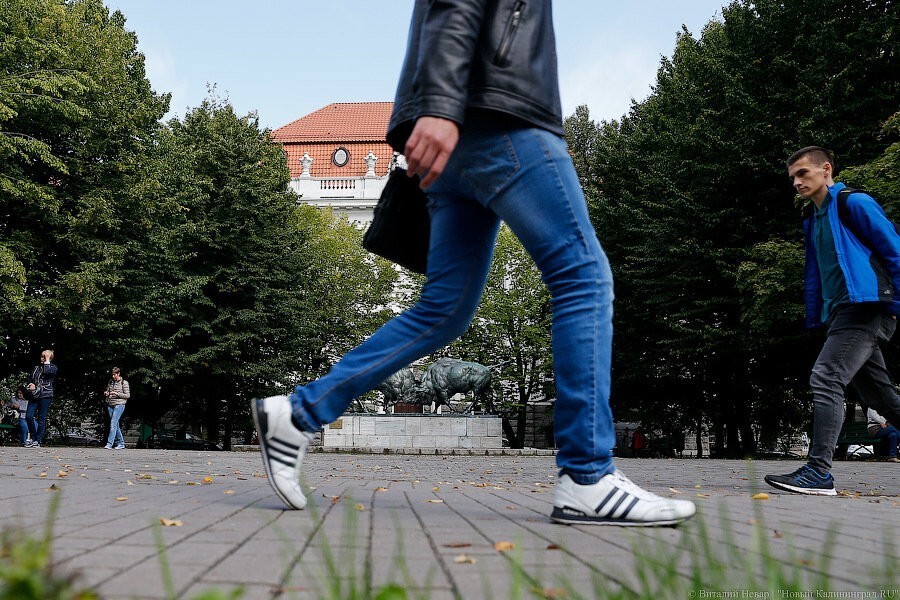 Прокуратура: в Нестерове торговали поддельной обувью «Nike» и «Adidas»