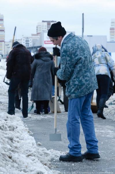"В руки - лопаты-2": фоторепортаж "Нового Калининграда.Ru"
