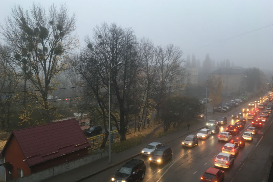 В Калининграде МЧС посоветовало не садиться за руль в туман