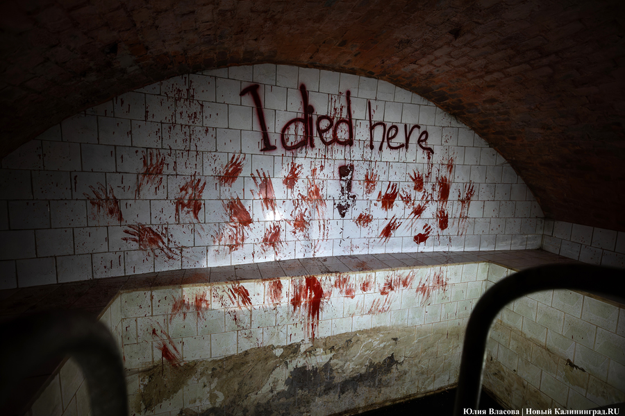 «Начало новой жизни»: в Астрономическом бастионе прошёл субботник (фото)