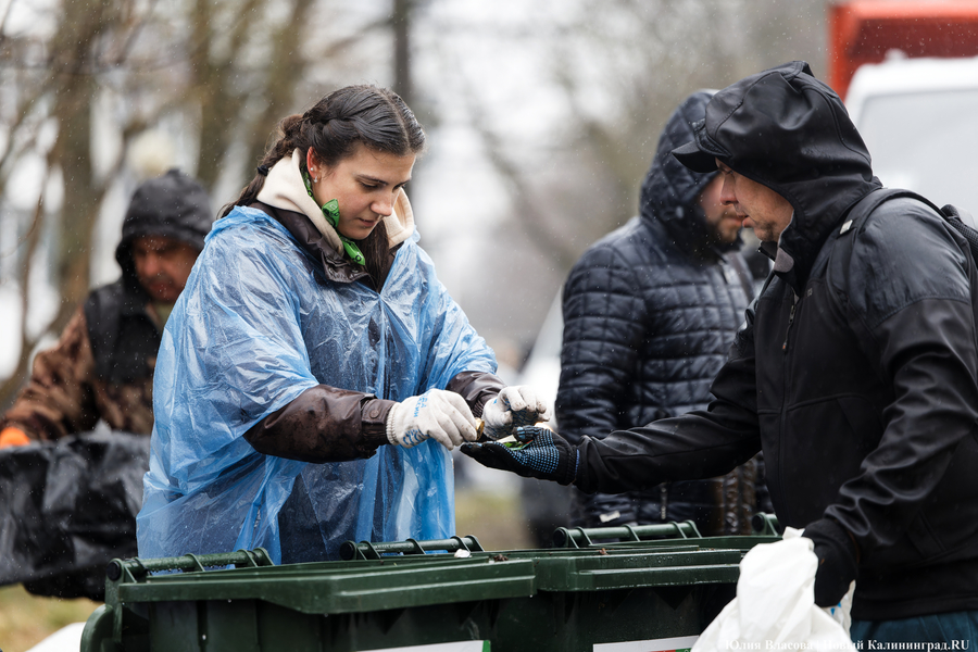 «Коммунальный Новый год»: как в Калининграде прошёл общегородской субботник