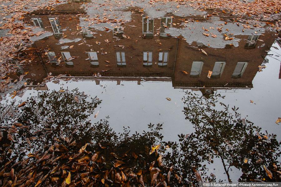 Памятник Первой мировой в Калининграде реставрируют специалисты из Питера (фото)