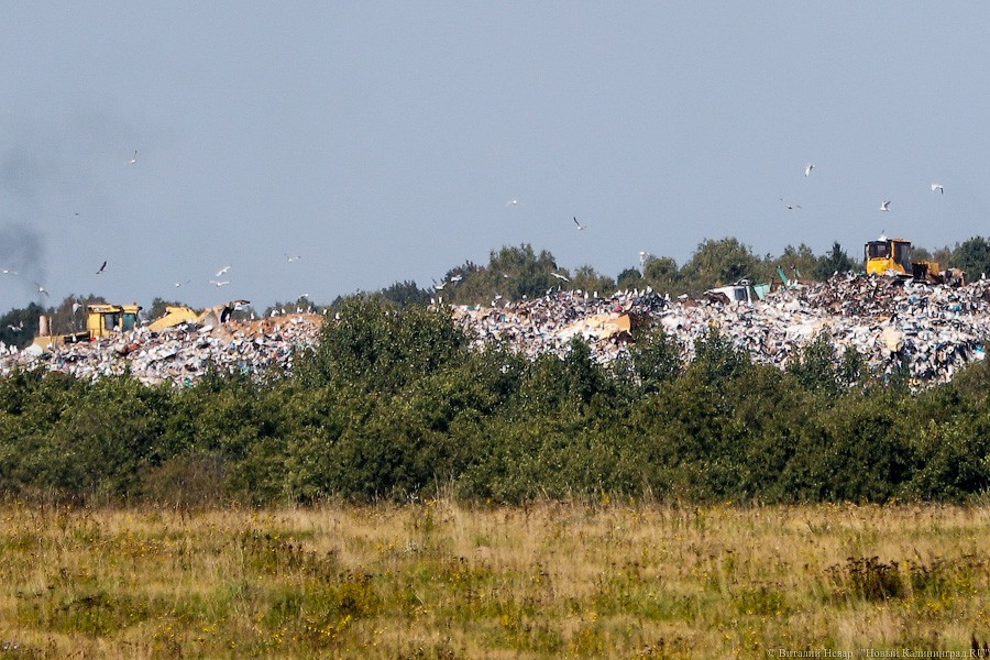 Власти решили заняться «дозагрузкой» переполненной крупнейшей свалки области в 2019 году