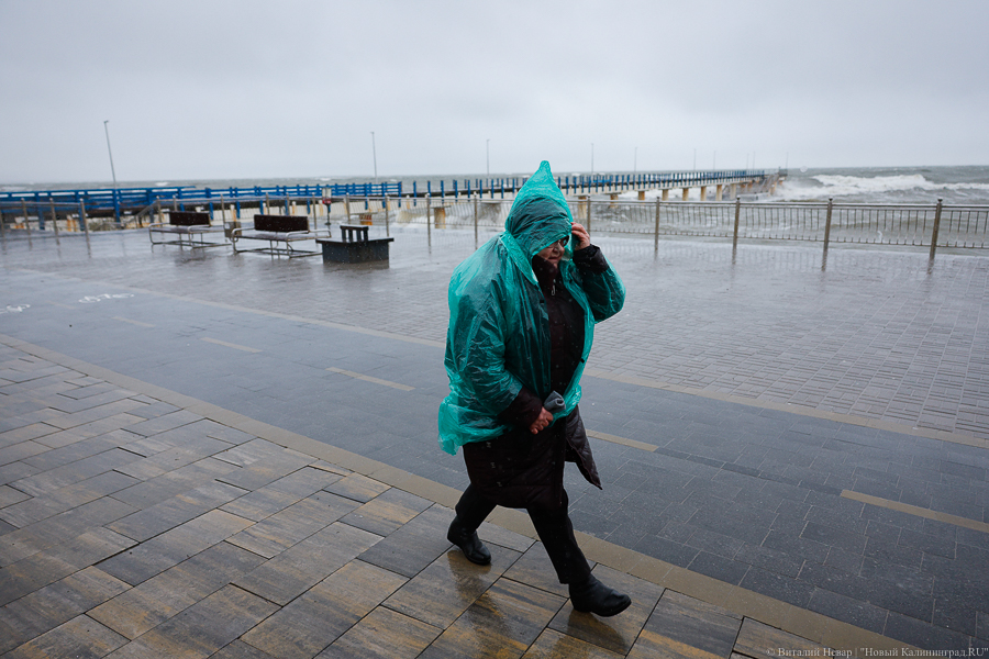 В субботу в Калининградской области прогнозируется ветер до 20 м/с