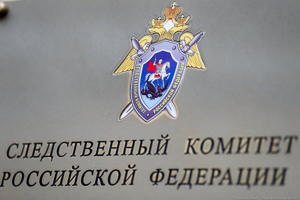 Бастрыкин взял на контроль расследование аварии с двумя сбитыми школьницами в Калининграде