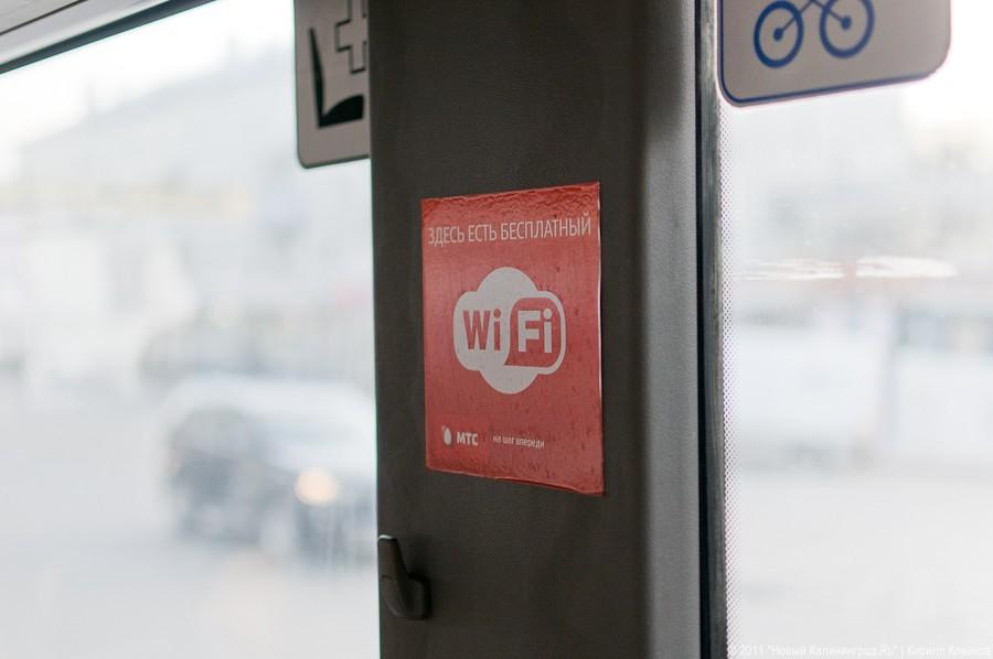 "Самая социальная сеть": фоторепортаж с презентации wi-fi в автобусах