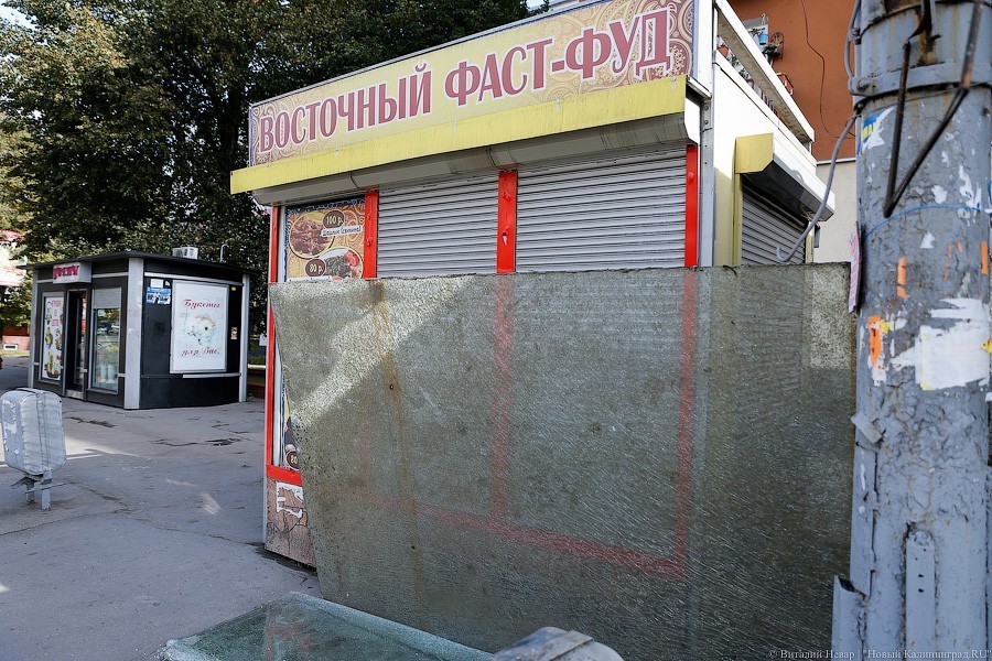 В 2019 году число закрытых в области компаний в 5 раз превысило число открытых