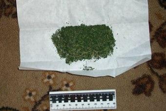 У 19-летнего жителя Нестерова полиция нашла 29 г марихуаны