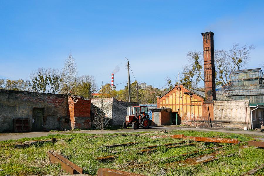 Экзотика в руинах: аварийные оранжереи Ботанического сада и их будущее