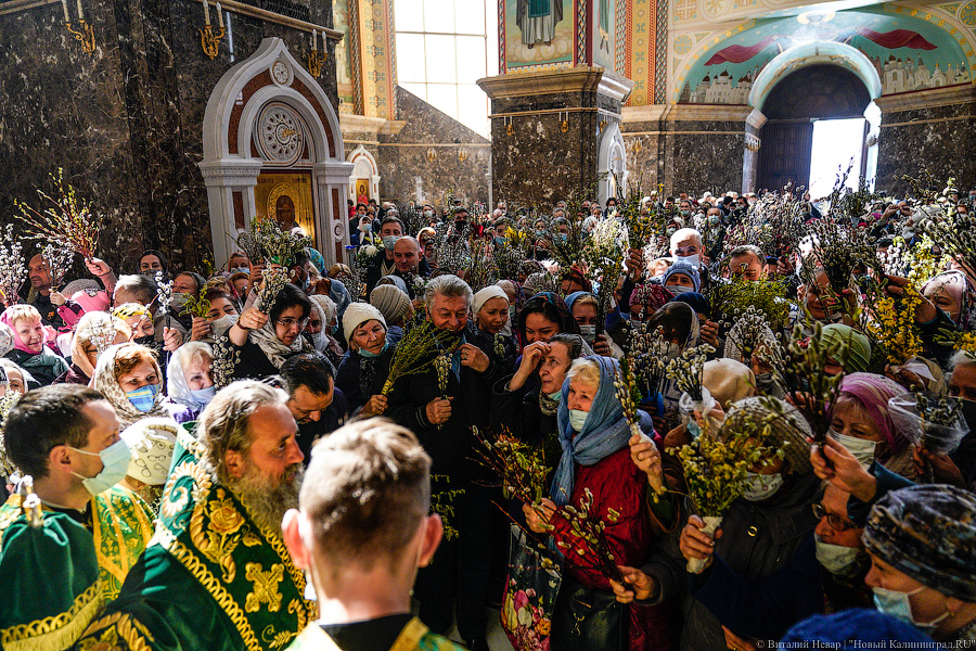 Брызги солнца: в Калининграде верующие отметили Вербное воскресенье (фото)
