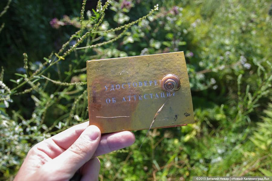 Позабыто, позаброшено: что скрывается за забором «Сердца города» у Дома Советов