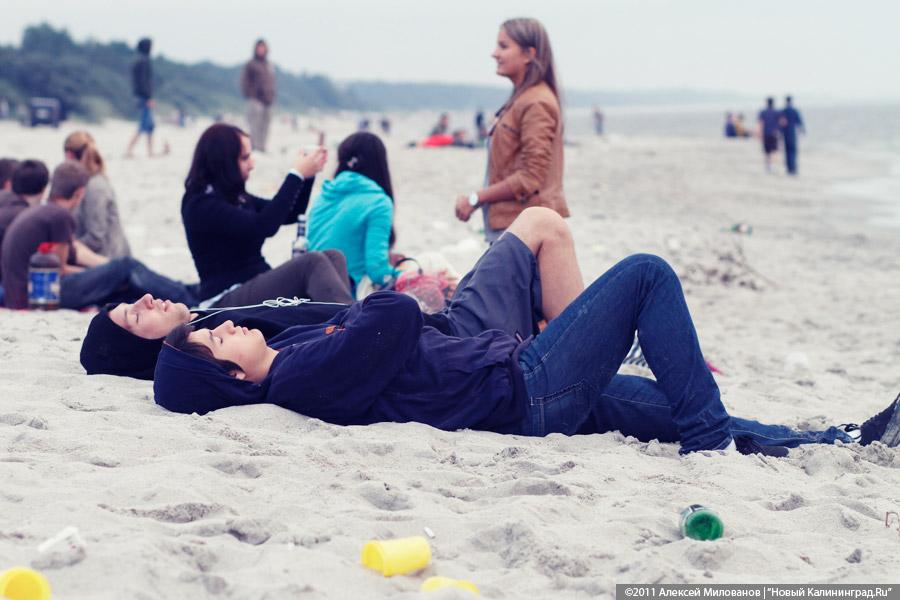 "Насекомая страна": фоторепортаж "Афиши Нового Калининграда.Ru"